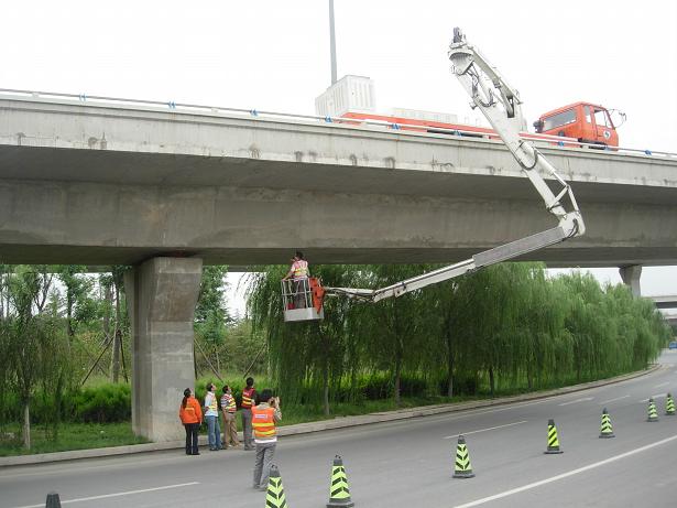 桥检车免费午夜福利视频
